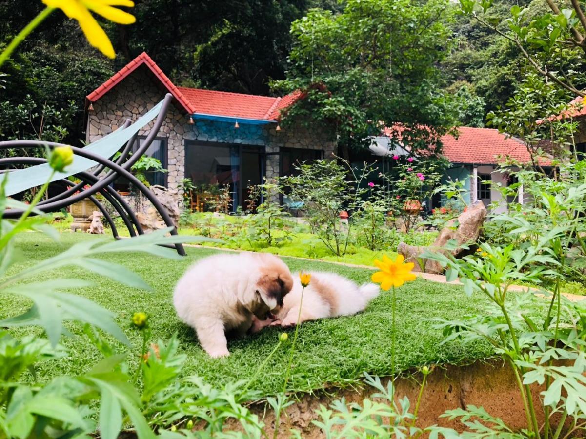 Trang An Green River Homestay Ninh Binh Exterior photo